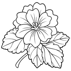Geranium flower outline coloring book page line art drawing vector illustration for children and adults