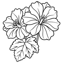 Geranium flower outline coloring book page line art drawing vector illustration for children and adults