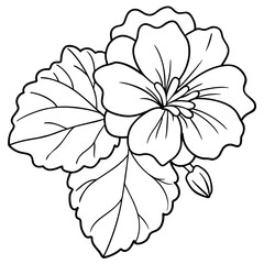 Geranium flower outline coloring book page line art drawing vector illustration for children and adults