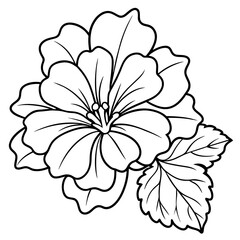 Geranium flower outline coloring book page line art drawing vector illustration for children and adults