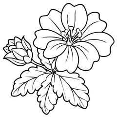 Geranium flower outline coloring book page line art drawing vector illustration for children and adults