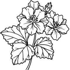 Geranium flower outline coloring book page line art drawing vector illustration for children and adults