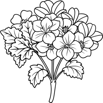 recommend clip art: Geranium flower outline coloring book page line art drawing vector illustration for children and adults