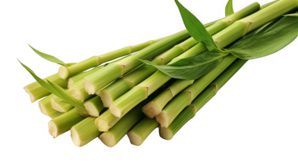 Fresh green bamboo shoots, a vegetable popular in Asian cuisine.