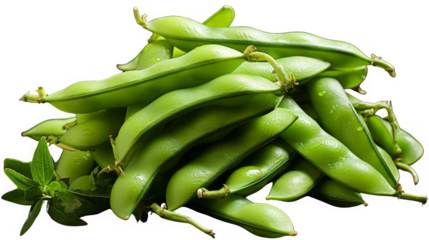 Fresh green beans isolated on transparent background