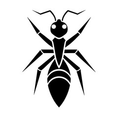 mosquito isolated on white