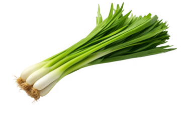 Fresh green onion isolated on black background