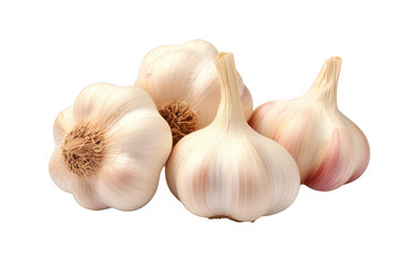 Fresh organic garlic bulbs isolated on white background.