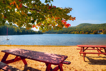 a wonderful place with tables and benches for a picnic on the shore of the lake on a sunny autumn...