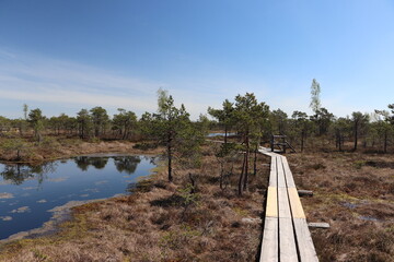 Park Narodowy Kemeri - Łotwa