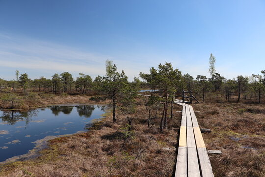 Park Narodowy Kemeri - Łotwa