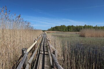 Park Narodowy Kemeri - Łotwa - kładki