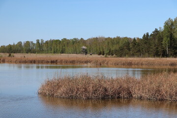 Park Narodowy Kemeri - Łotwa - wieża widokowa