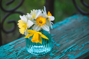 Beautiful white daffodil flowers in blue, turquoise vase, spring composition