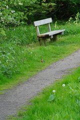 Vibrant and tranquil nature in Denmark	