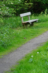 Vibrant and tranquil nature in Denmark	