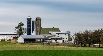 A detailed view of a modern dairy farm, featuring large silos and multiple barns surrounded by lush green pastures under a cloudy sky, highlighting agricultural efficiency. © Greg Kelton