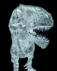 giganotosaurus id profile picture on white background © DM7