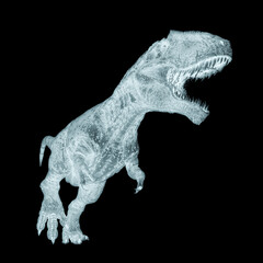 giganotosaurus is running on white background on side view © DM7