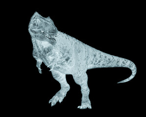 giganotosaurus is walking and also looking back on white background © DM7