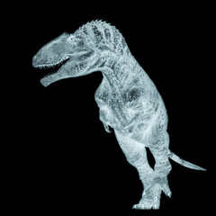 giganotosaurus is walking on white background © DM7