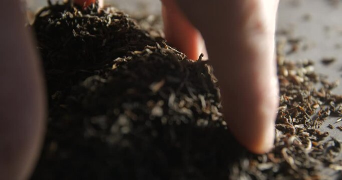 Tea mixing with hands 4K pro res