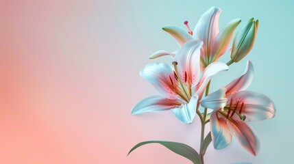 A bouquet of pink flowers with a blue background