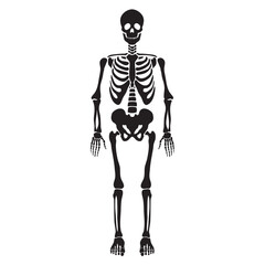 Skeleton SVG, Skeleton parts Svg, Skeleton Png, Skeleton Cut File, Skeleton Bones Svg, Skeleton parts Png, Skeleton parts kit SVGSkeleton SVG, Skeleton parts Svg, Skeleton Png, Skeleton Cut File, Skel