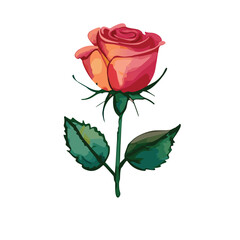 Watercolor Rose Vector