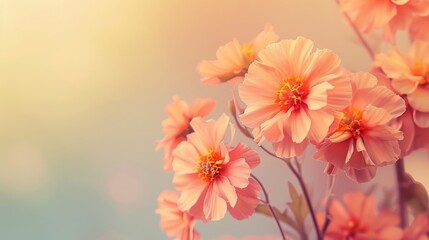 A bunch of orange flowers are in a field