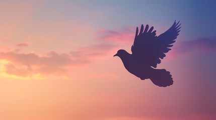 Silhouette of a Dove Flying at Dawn, Freedom and Peace Concept
