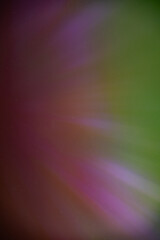 Northern lights or Aurora borealis in the sky, captured in the Netherlands