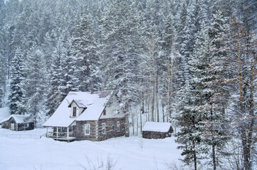 Alpine Cabin in the Snow