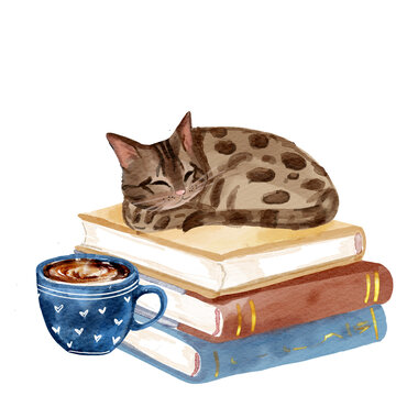 Watercolor illustration of a Bengal cat sleeping on a stack of books next to a cup of coffee. 