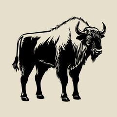 Black and white drawing wild bison