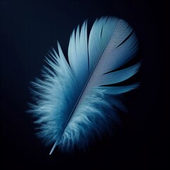  A computer-generated image of a single blue feather on a black background.