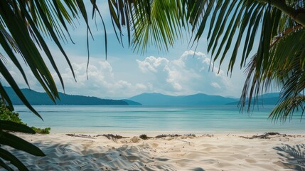 View of nice tropical beach with some palms .