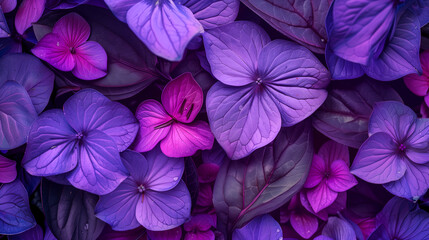 Cluster of Purple Flowers
