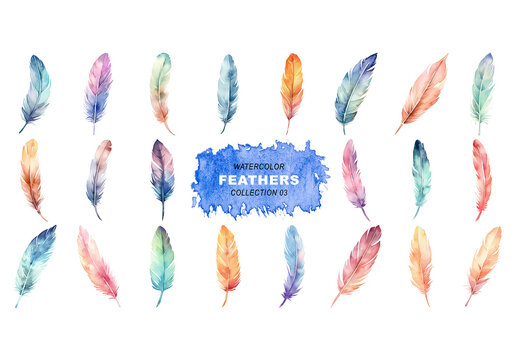 Watercolor painted style - feathers clipart isolated on transparent background. Created using Generative AI.