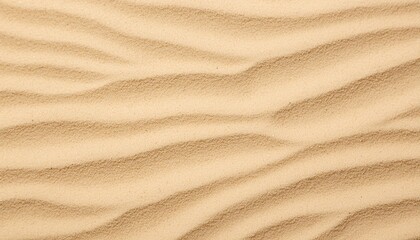 wavy sand backdrop