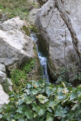 Cueva del Agua Tiscar, Jaén, 2017 - 45