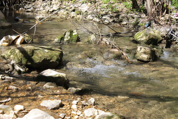 Cueva del Agua Tiscar, Jaén, 2017 - 33