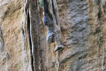 Cueva del Agua Tiscar, Jaén, 2017 - 29