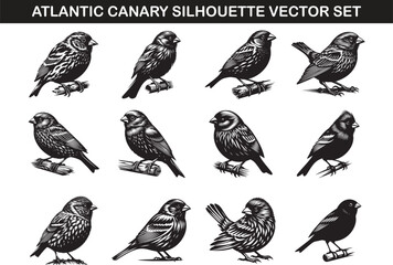 Atlantic Canary Bird Silhouette Vector Illustration Set