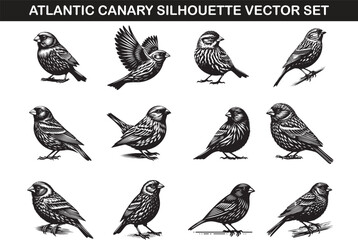Atlantic Canary Bird Silhouette Vector Illustration Set