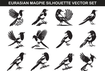 Eurasian Magpie Bird Silhouette Vector Illustration Set