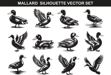 Mallard Bird Silhouette Vector Illustration Set