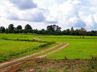 Naklejka premium Road over green field in the Kashubian countryside. Poland.