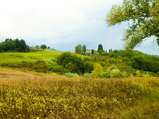 Tuscan field on a cloudy day