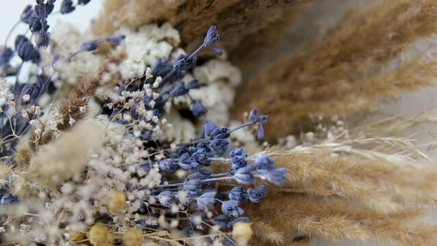 Dried flowers in purple hues rotate close-up. Beautiful lagurus, falyaris and spikelets in a beautiful bouquet. Gift bouquet of dried flowers.